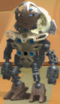 Metruan Kivi.png