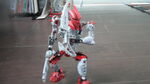 DSCF6095.jpg