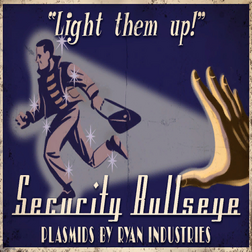 Security bullseye