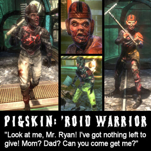 Datei:Pigskin.jpg