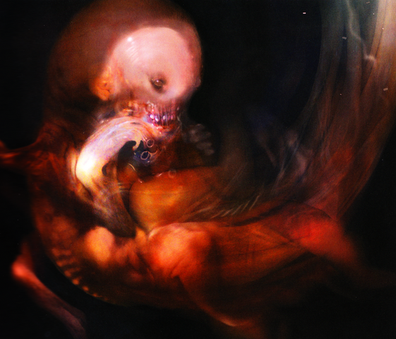 File:Gil Concept Art.png