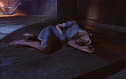 Burial at Sea Episode 2 - Housewares - Bathyspheres DeLuxe - female corpse with male head f0837