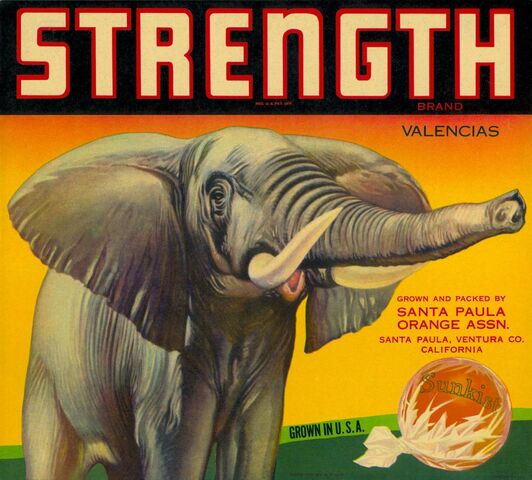 File:Strength-1024x923.jpg
