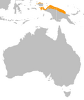 Northern cassowary distribution