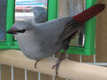 Thumbnail for version as of 16:15, September 13, 2009
