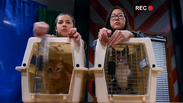 File:Release The Cats.png