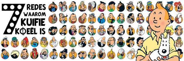 File:7-rede-waarom-kuifie-koeel-is.jpg