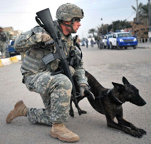 File:Police soldier with dog.jpg