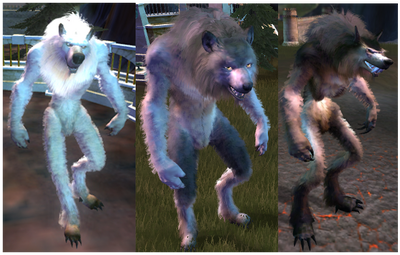 Wolf Alignments