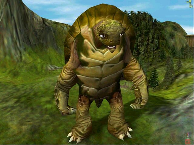 File:Tortoise.jpg
