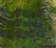 Treepuzzle