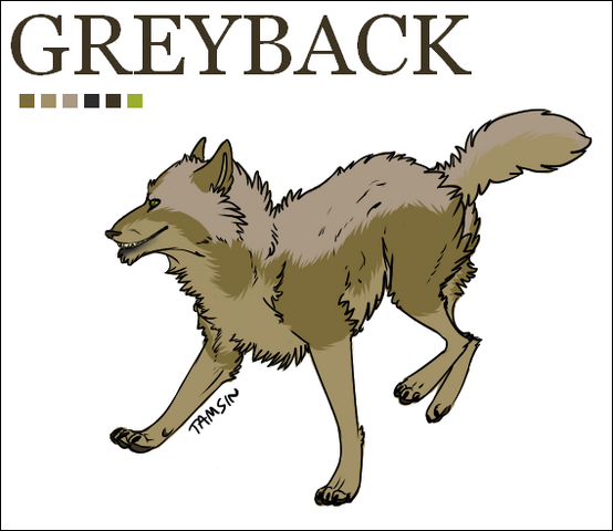 File:Greyback.png