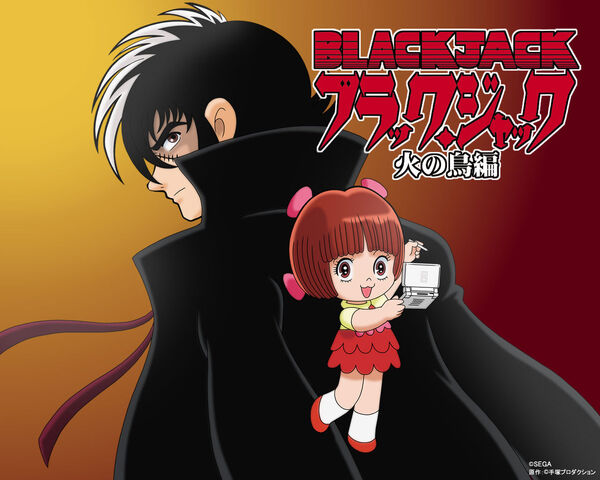 File:Black-Jack-Pinoko-black-jack-anime-21433559-1280-1024.jpg