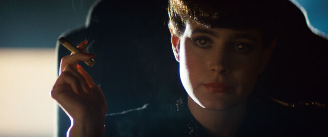 File:Themes in Blade Runner Femenism.jpg