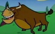 Cowsius