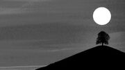 Black and white hill