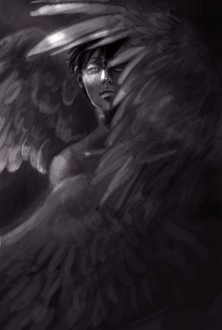 File:Fallen seraphim by amidarosa.png