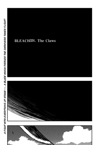 File:Bleach Ch324 cover.png