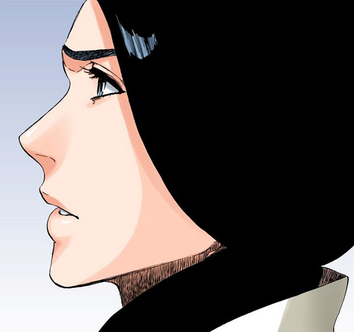 File:515Unohana displays.png
