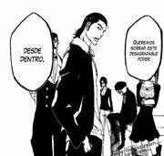Bleach43312