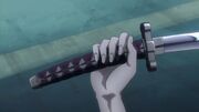 Nozomi Zanpakuto-1-.jpg