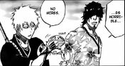 Bleach5(487).jpg