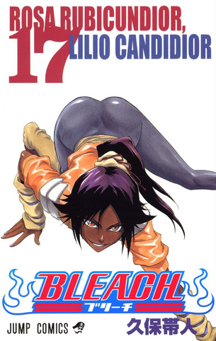 File:MangaVolume17Cover.png