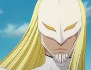 Findorr Masque Entier.png