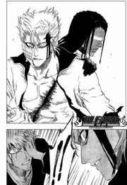 Bleach212.jpg