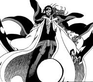 R649 Katen Kyoukotsu i Shunsui.png