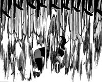 Yoruichi golpeando a Aizen.jpg