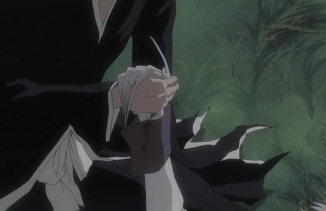 File:255Ichigo holds.png