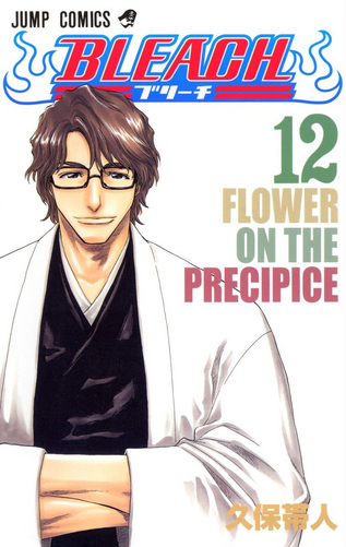 File:MangaVolume12Cover.png