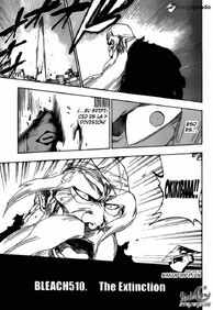 Bleach510.jpg