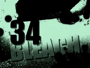 Bleach 34.png