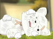 Kon's new body.jpg