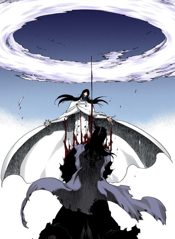 Äs Nödt vs. Byakuya Kuchiki Bleach Wiki FANDOM powered by Wikia