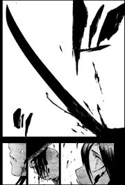Bleach13