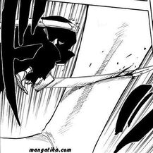 Ichigo ataca al Menos Grande.jpg