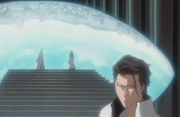 203Aizen reveals