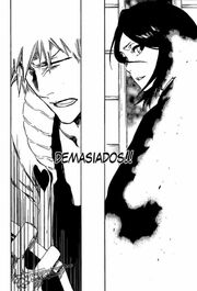 Bleach43620.jpg