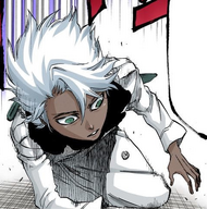 593Hitsugaya collapses
