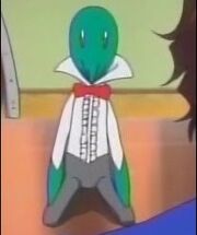 Noba plushie.jpg