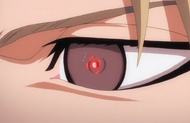191Cero Cornea