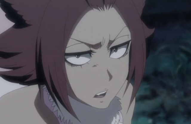 File:239Haineko expresses.png