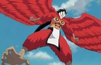 Aguila.jpg