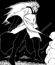 Raian newest Bankai