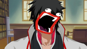 SDWSho.png