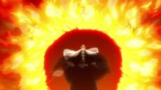Yamamoto defeats the Arrancar