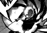 Bankai Speed Raian